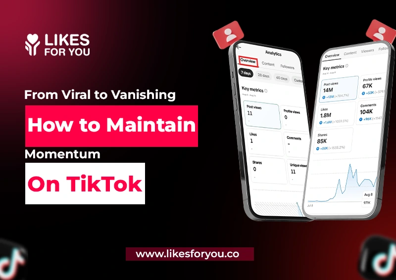 From Viral to Vanishing: How to Maintain Momentum on TikTok