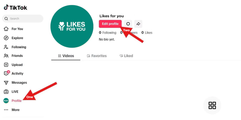 Edit Tiktok Profile