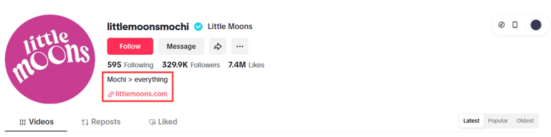 Tiktok Business and brand Bio ideas