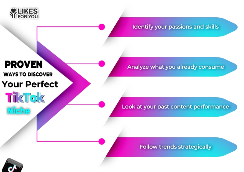 TikTok Niche