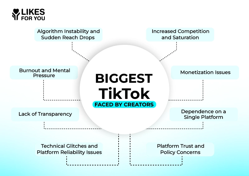 Biggest TikTok Problems