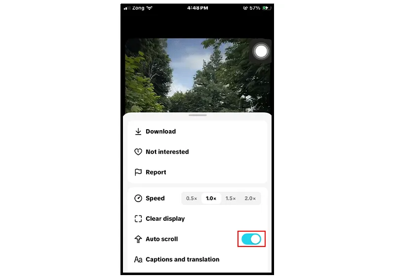 Auto Scroll option